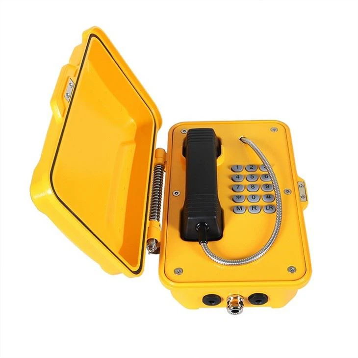 IP / VoIP Weatherproof Telephone Case